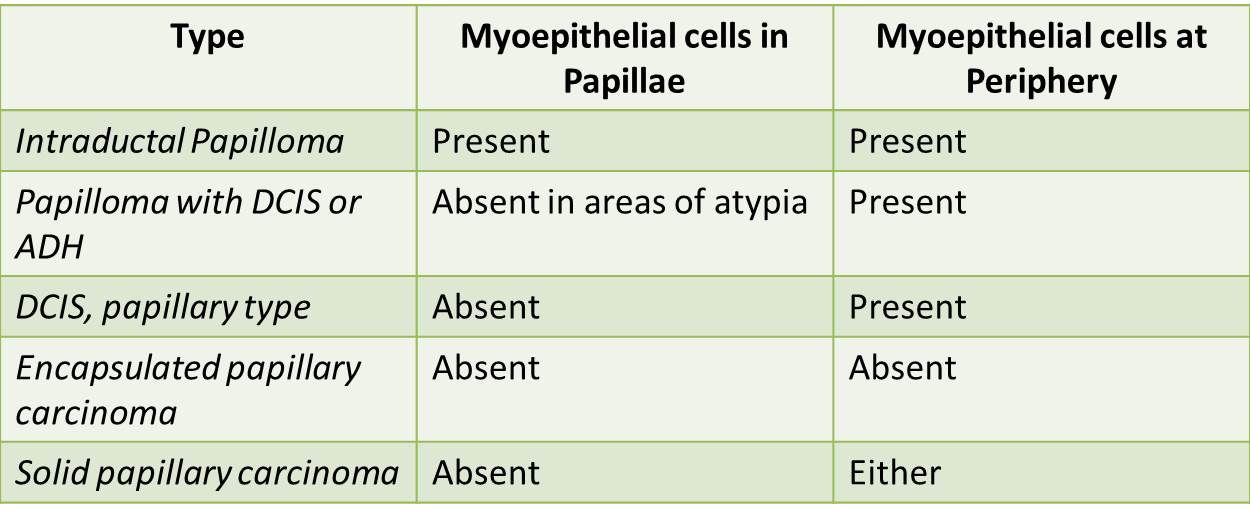 Myoepithelial cell table