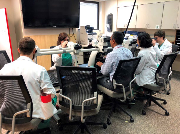 medical students working with faculty viewing glass slides at the microscope