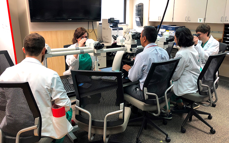 M2 Fall 2018 Surgical Pathology mini-rotation