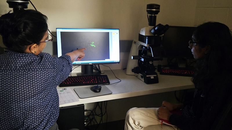 M3 students work with Dr. Anjali Satoskar