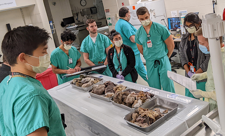 medical students attending a lecture given by a pathology faculty member.