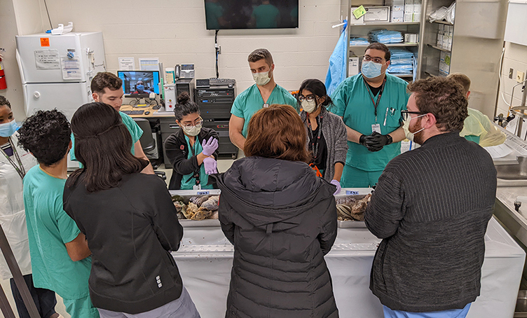 medical students working with faculty viewing glass slides at the microscope