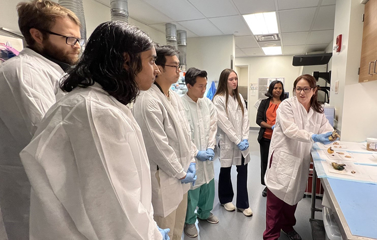 Pathology gross room group presentation