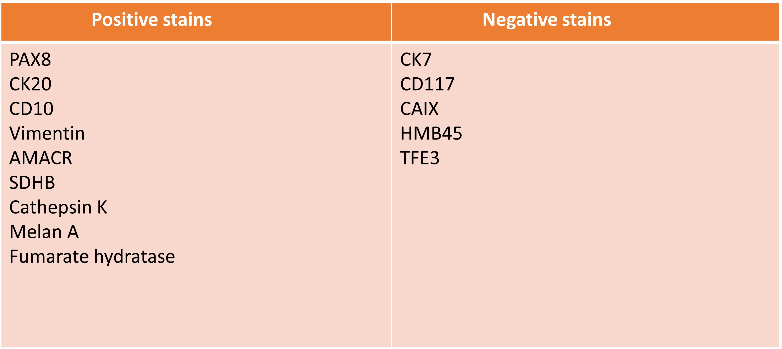 Table of IHC stains used