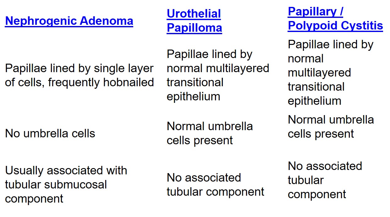 Nephrogenic adenoma of the urinary bladder (NAUB) table