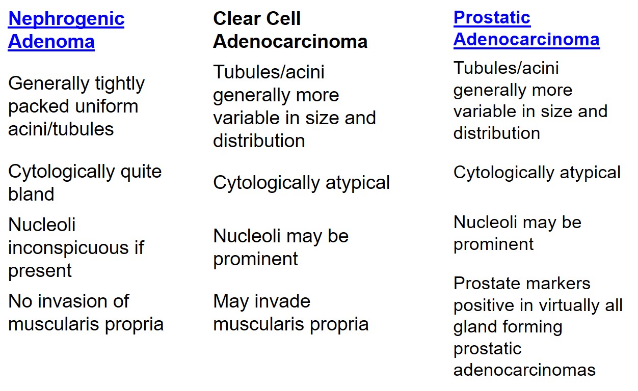 Nephrogenic adenoma of the urinary bladder (NAUB) table