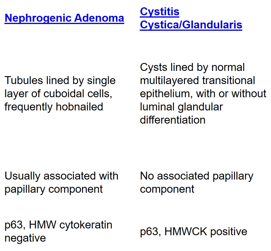 Nephrogenic adenoma of the urinary bladder (NAUB) table