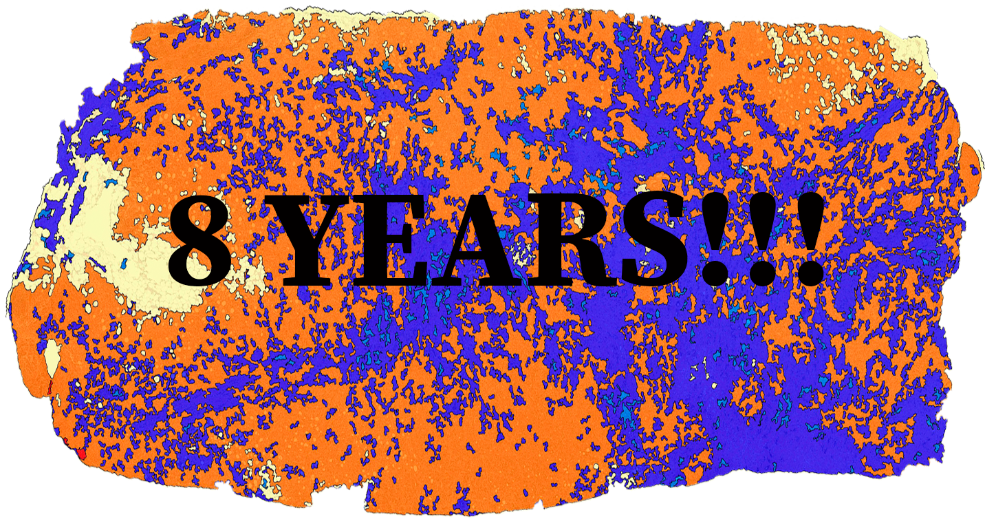 five year celebration announcement
