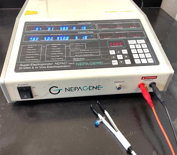 Electroporation machine with a digital display used for neuron manipulation