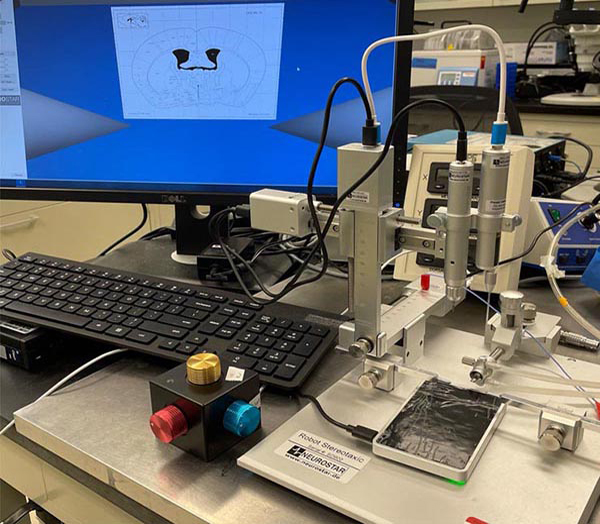 Automated stereotaxic instrument connected to a computer