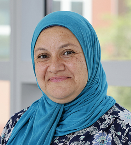 Portrait of Dalia Ibrahim, MD, MSc